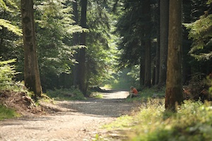 places